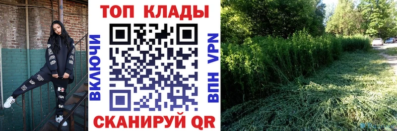 Альфа ПВП Петров Вал