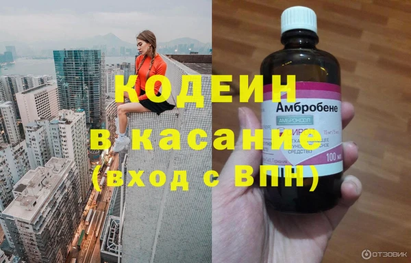 молекула духа Козельск