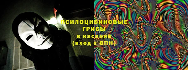 молекула духа Козельск