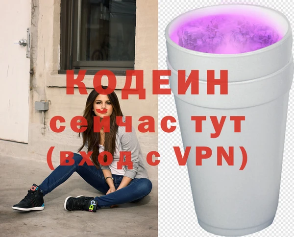 прущие грибы Костерёво