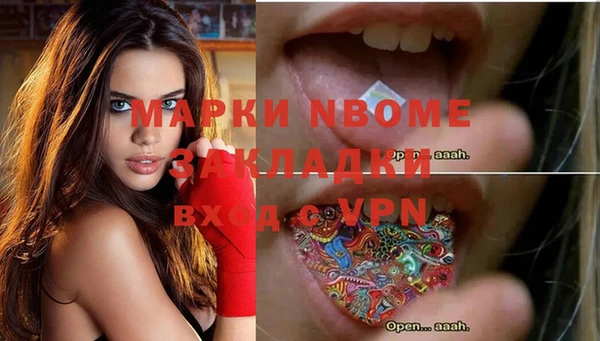 молекула духа Козельск