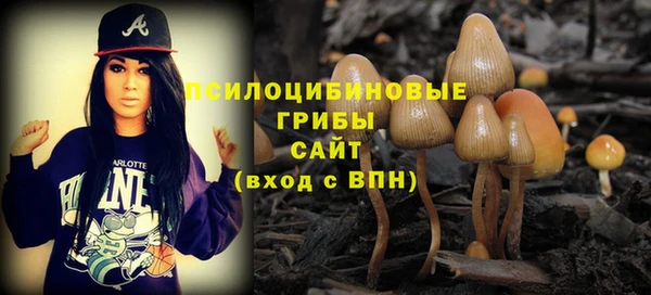 прущие грибы Костерёво
