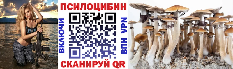Купить  Петров Вал  Псилоцибиновые грибы мицелий 