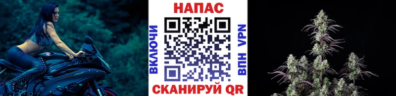 Купить  Петров Вал  Шишки марихуана OG Kush 